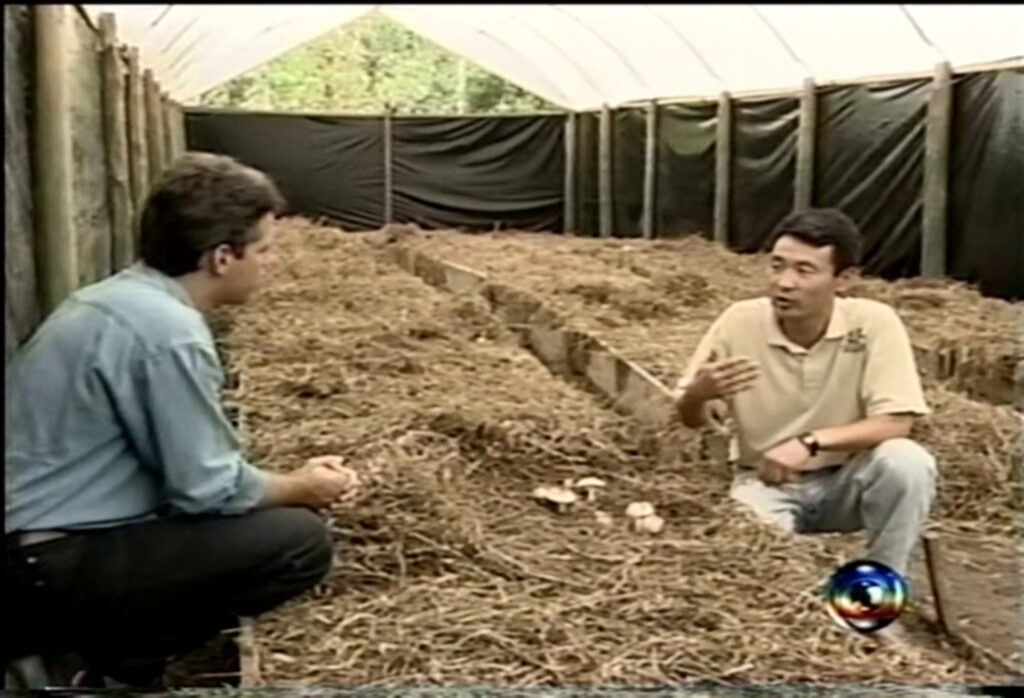 Program Globo rural